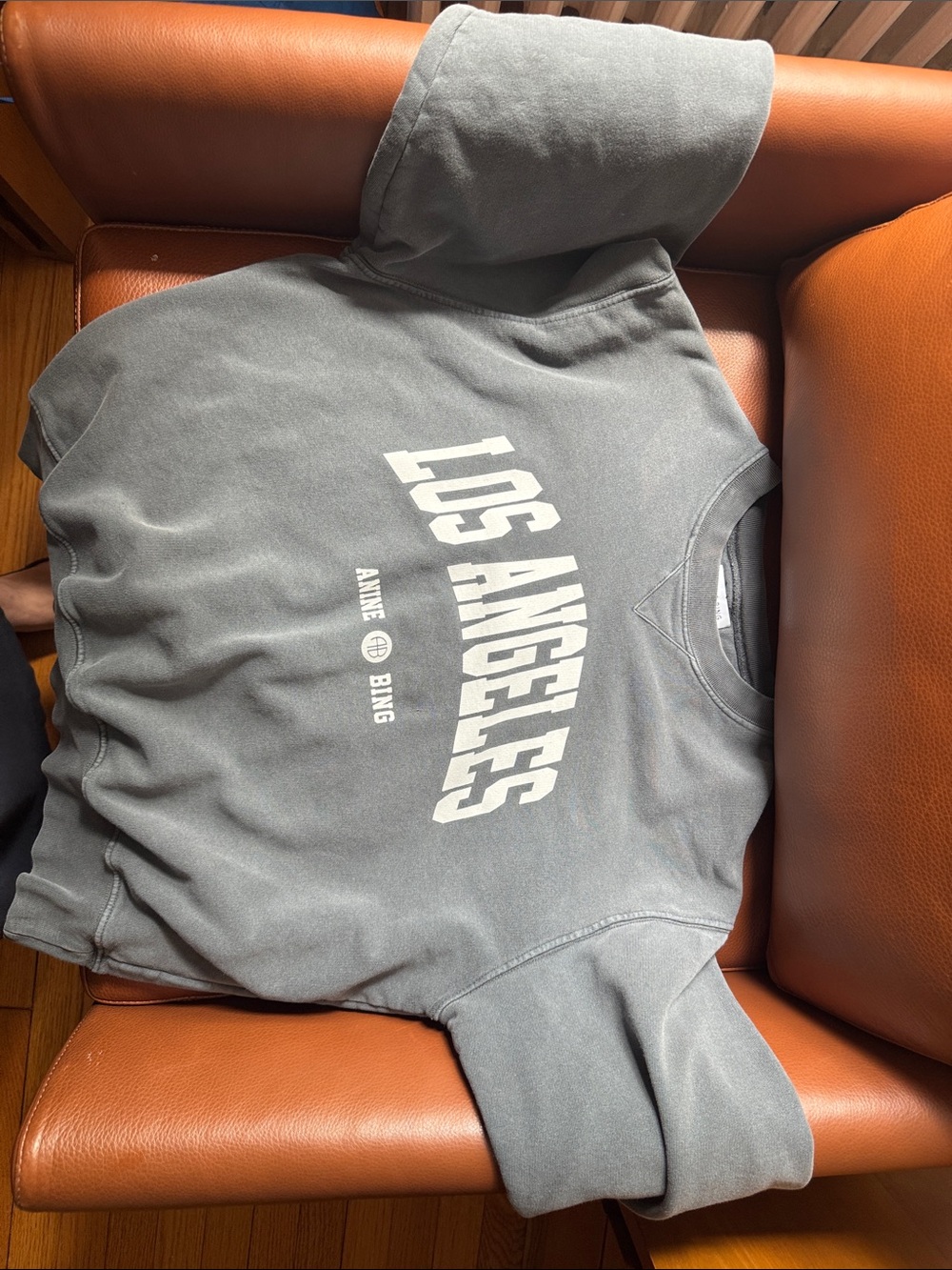 Anine Bing Washed Gray Crew Sweatshirt